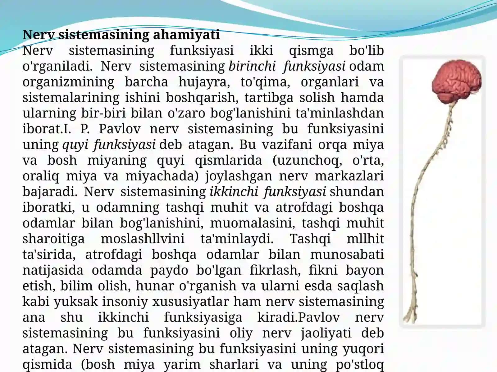 Organizmning o`sishi va rivojlanishiga ta`sir etuvchi faktorlar 4