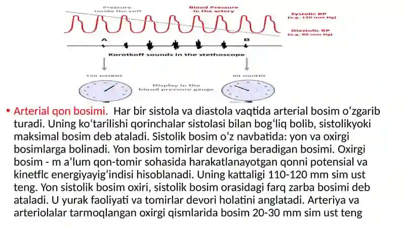 Arterial qon bosimi. Mikrosirkulyatsiya tizimi. Qon tomirlar tonusini boshqarilishi 4