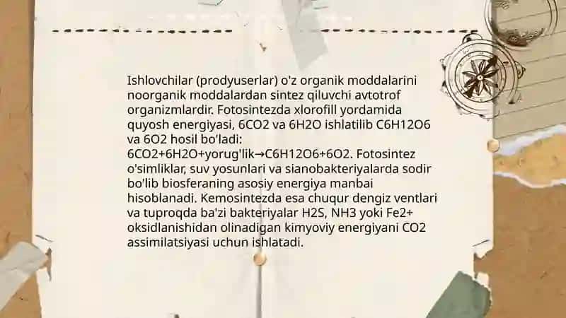 Biosferada tiriklik zanjiri va energiya almashinuvi 4