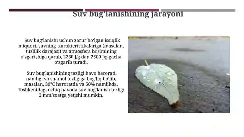 Namlikning qisqa muddatli o'zgarishlarini bashorat qilish 4