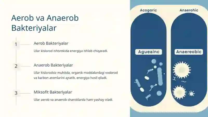 Bakteriyalarning Fiziologiyasi 4