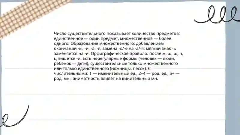 Род существительного 4
