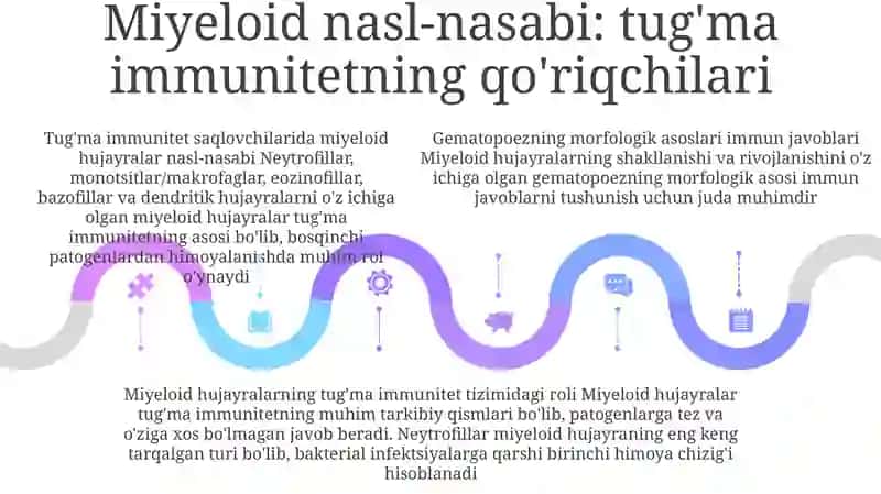 Gomotsitopoez Immun Himoya Reaksiyalarining Morfologik Asoslari 4
