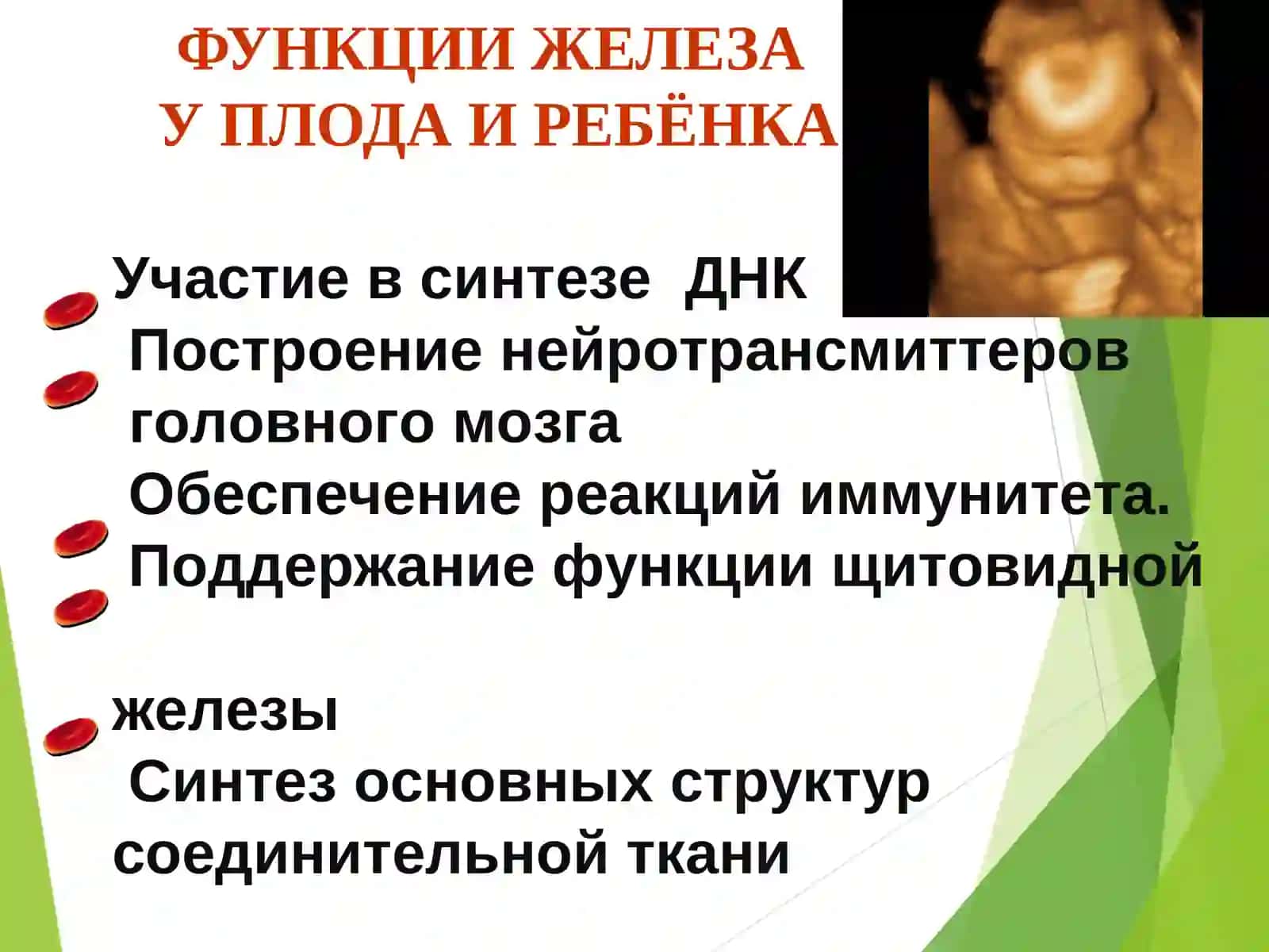 Железодефицитная анемия у детей 4