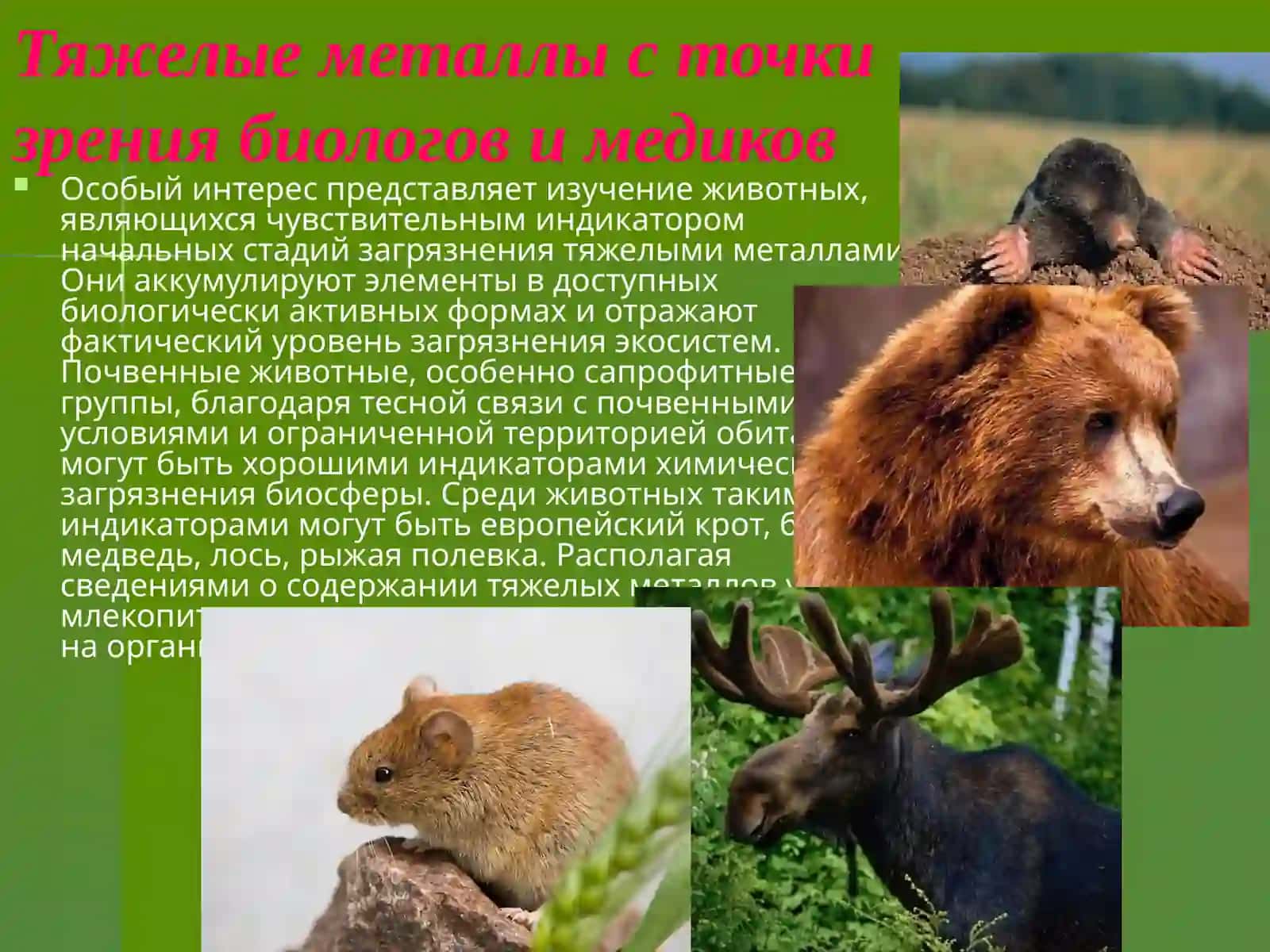 Тяжелые металлы 4