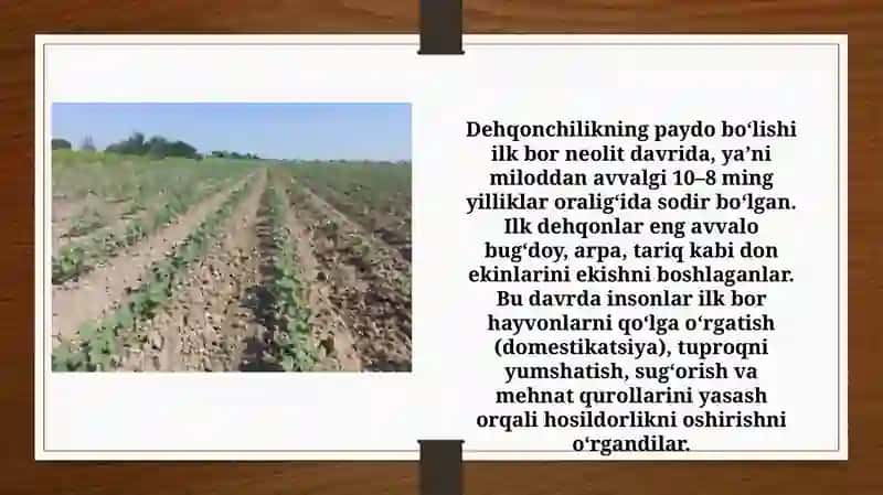 Dehqonchilik madaniyati va shakllanish taraqqiyoti (TAQDIMOT) 4