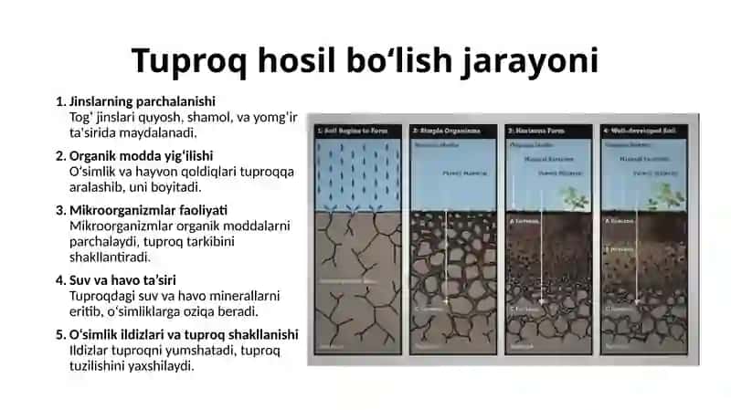 Tuproq va uning xususiyatlari 4