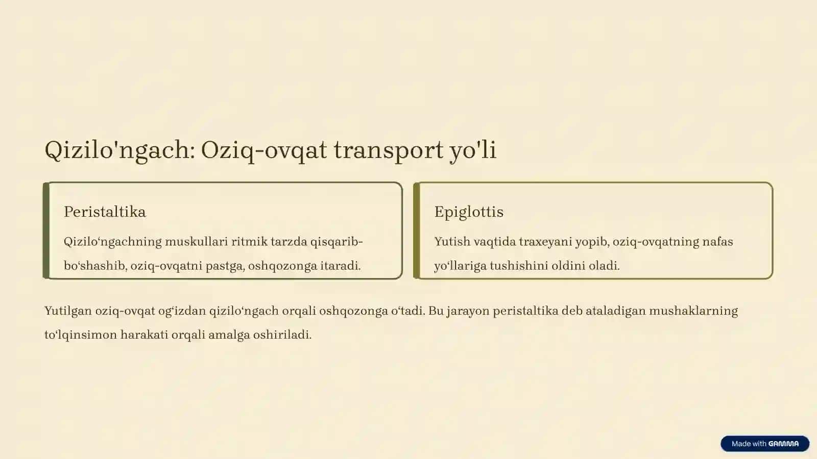 Ovqat hazm qilish tizimi: Inson tanasining hayotiy jarayoni 4