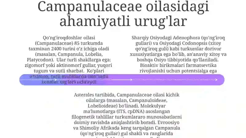 Campanulaceae oila morfologiyasi 4