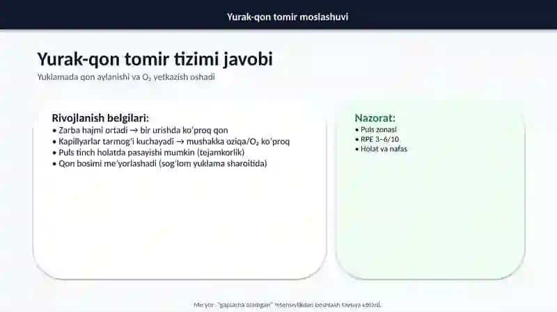 Organizmning funksional imkoniyatlarini rivojlantirish 4