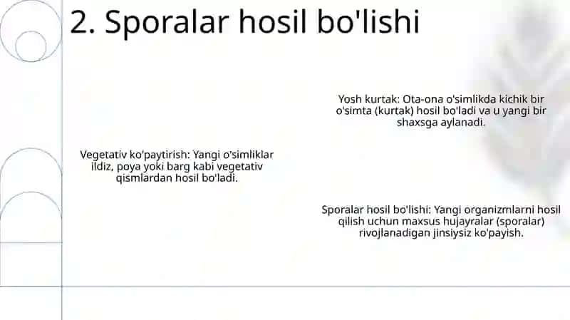 O‘simliklarning jinnisiz ko‘payish turlari 4
