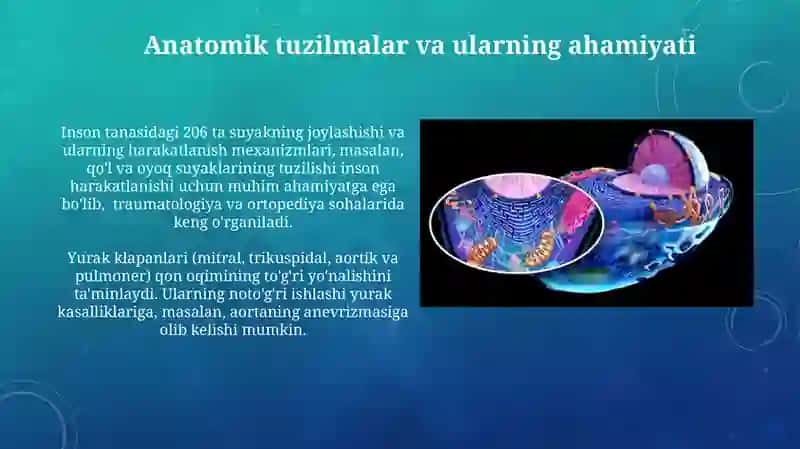 Fiziologiya va Anatomiyaning Umumiy Tushunchasi 4