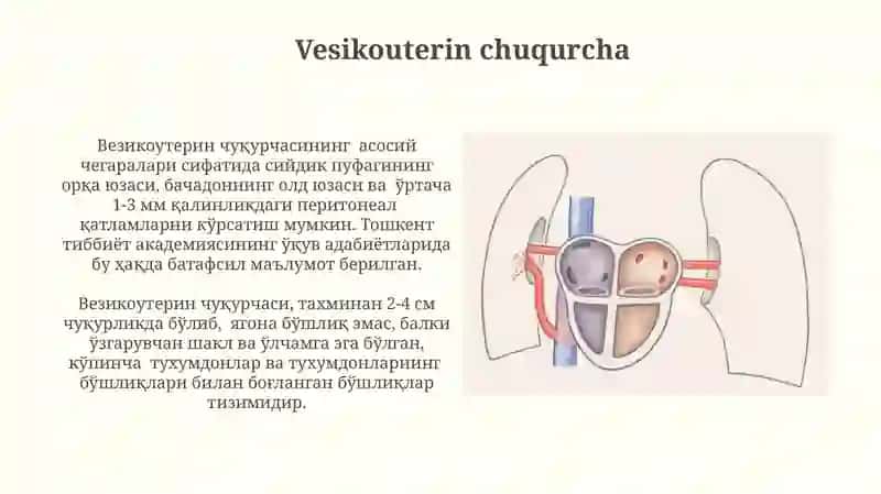 Duodenal chuqurcha 4