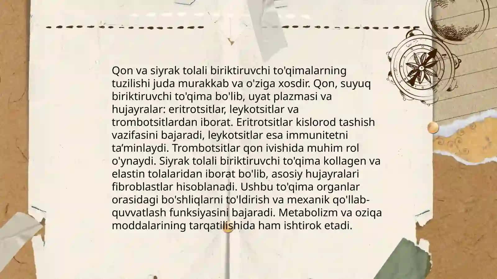 Qon va siyrak tolali biriktiruvchi to’qimalarning o’zaro munosabati 4