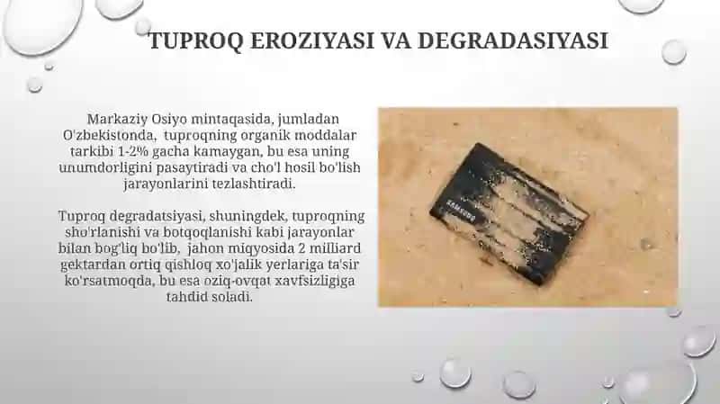 Tuproq toʻgʻrisidagi tushuncha va ilmiy qarashlar 4