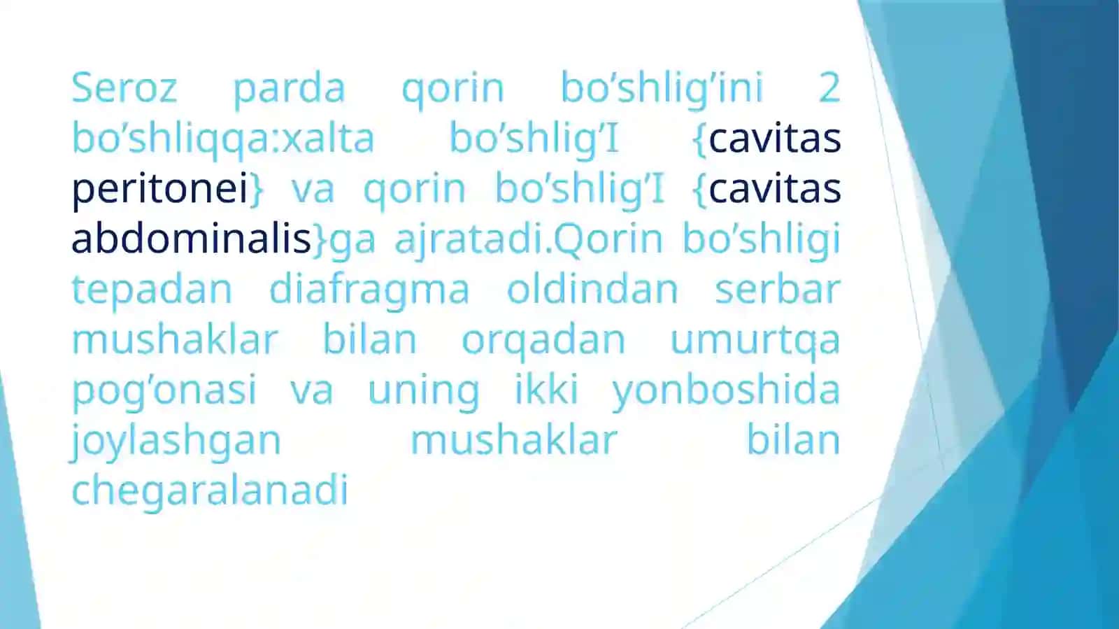 Qorinpardaning tuzilishi va uning qorin bo‘shlig‘i a’zolariga munosabati 4