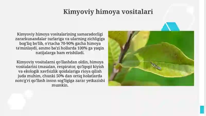 Qand lavlagi kasalliklari va zararkunandalarga qarshi kurash 4