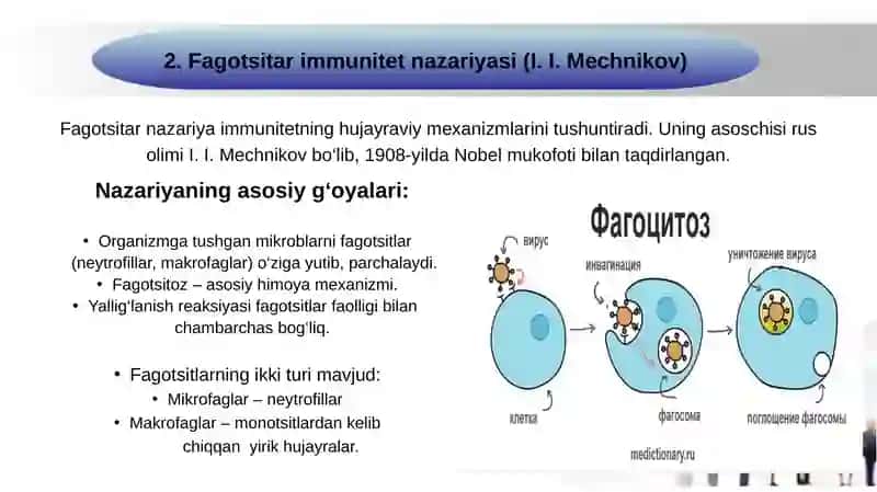 Immunitet (teoriyadari) g‘oyalari, fagotsitar, gumoral, klonal - seliksion va bosh. 4