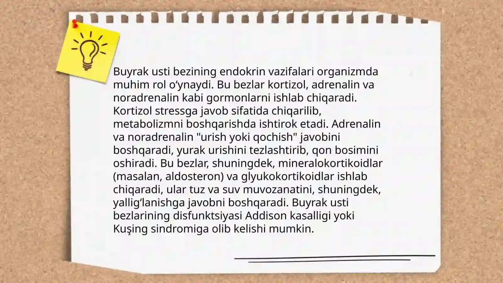 Buyrak usti bezining magʻiz qismi vazifasi 4
