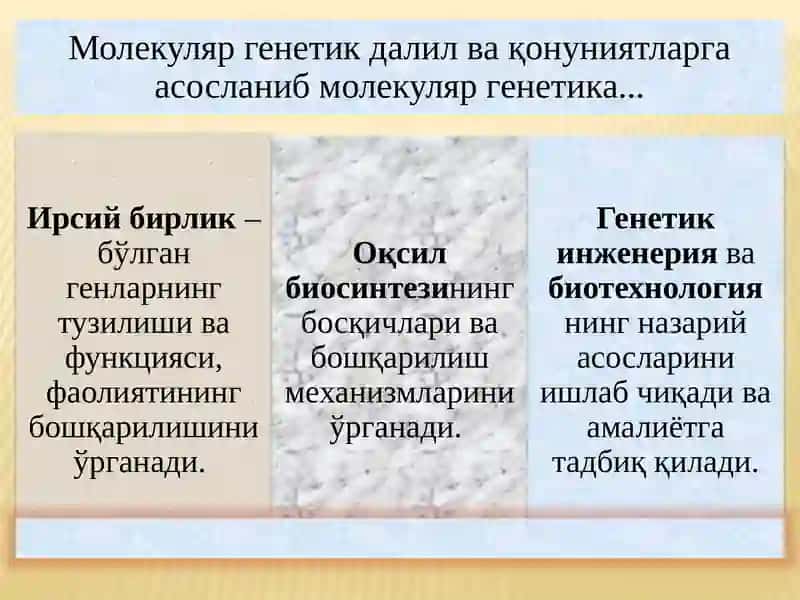 Ирсиятнинг молекуляр асослари. Генетик инженерия ва биотехнология. Ўзгарувчанлик. 4