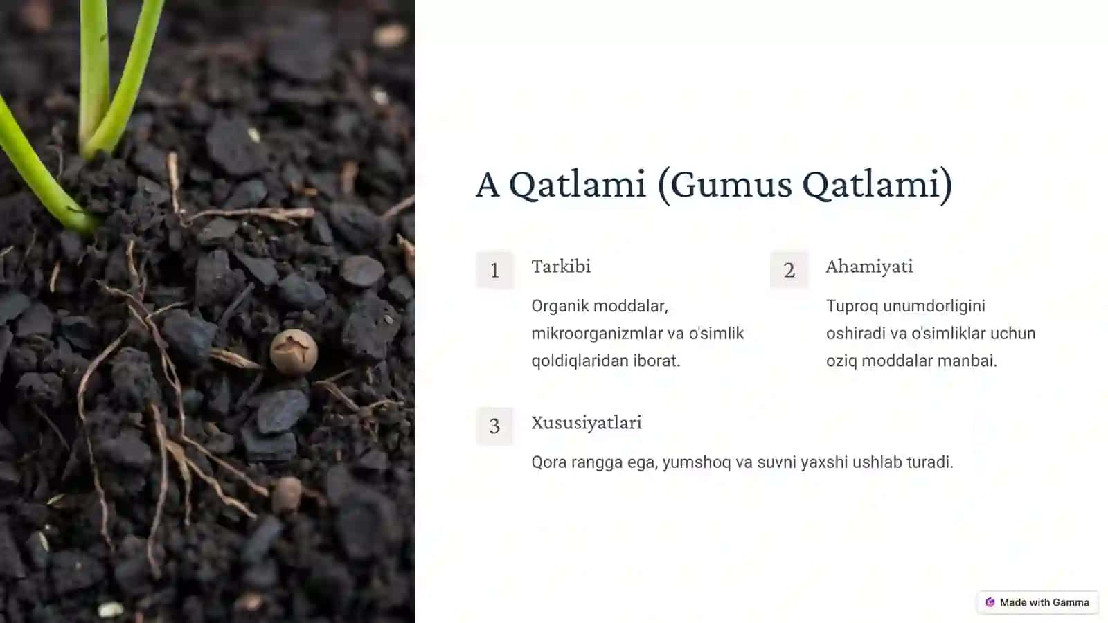 Tuproq Qatlamining Tuzilishi 4