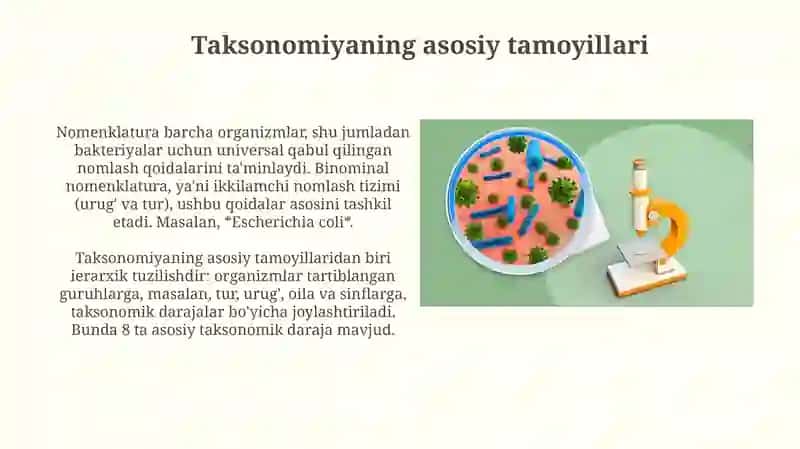 Bakteriyalarni klassifikatsiyasi, toksonomiyasi va nomenklaturasi 4