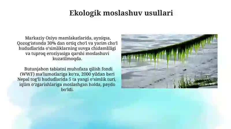 Iqlim oʻzgarishi va ekologik moslashuv 4