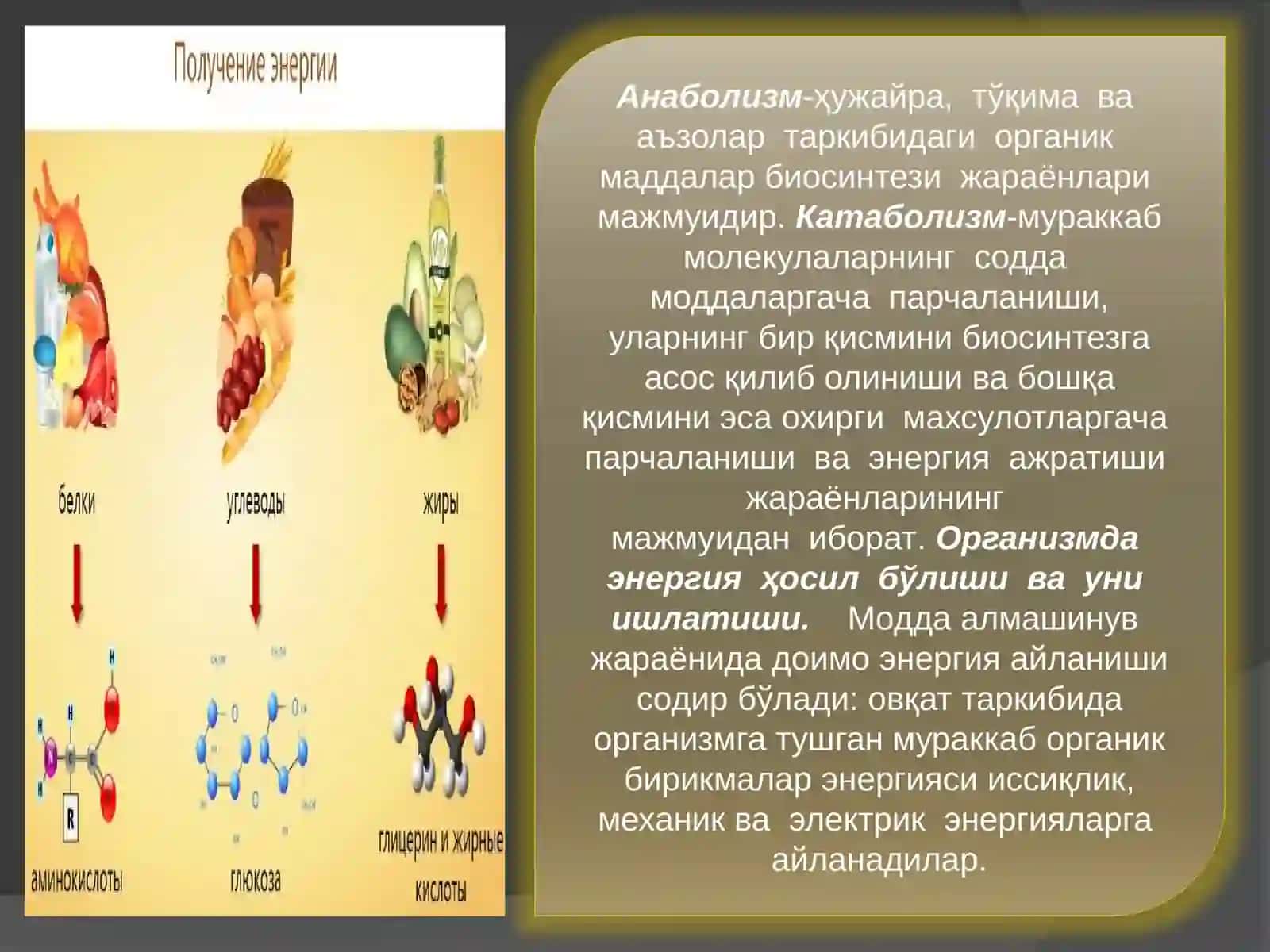 Modda va energiya almashinuvi 4