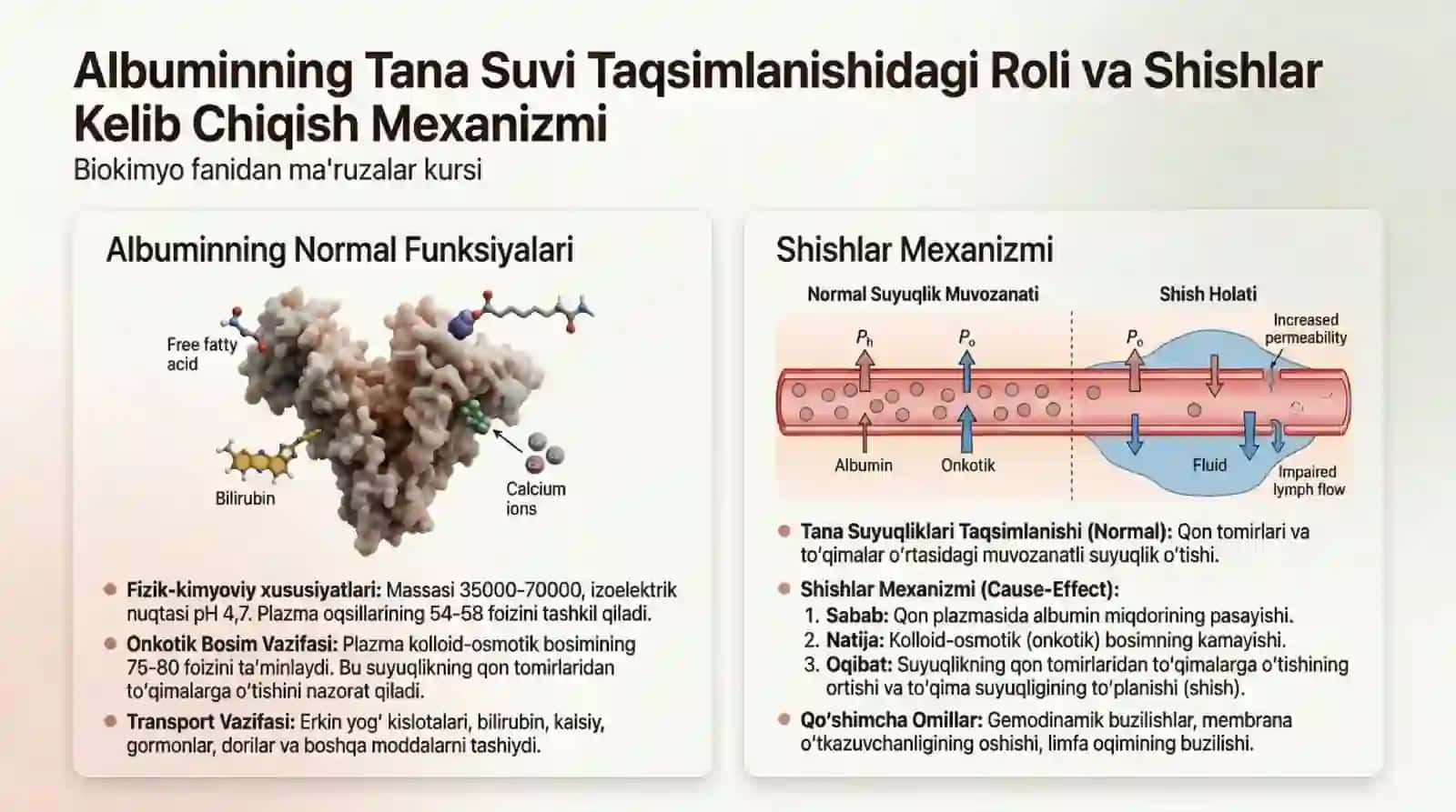 Qon. Kamqonlik turlari va sabablari. Leykotsitlar metabolizmi xususiyatlari 4