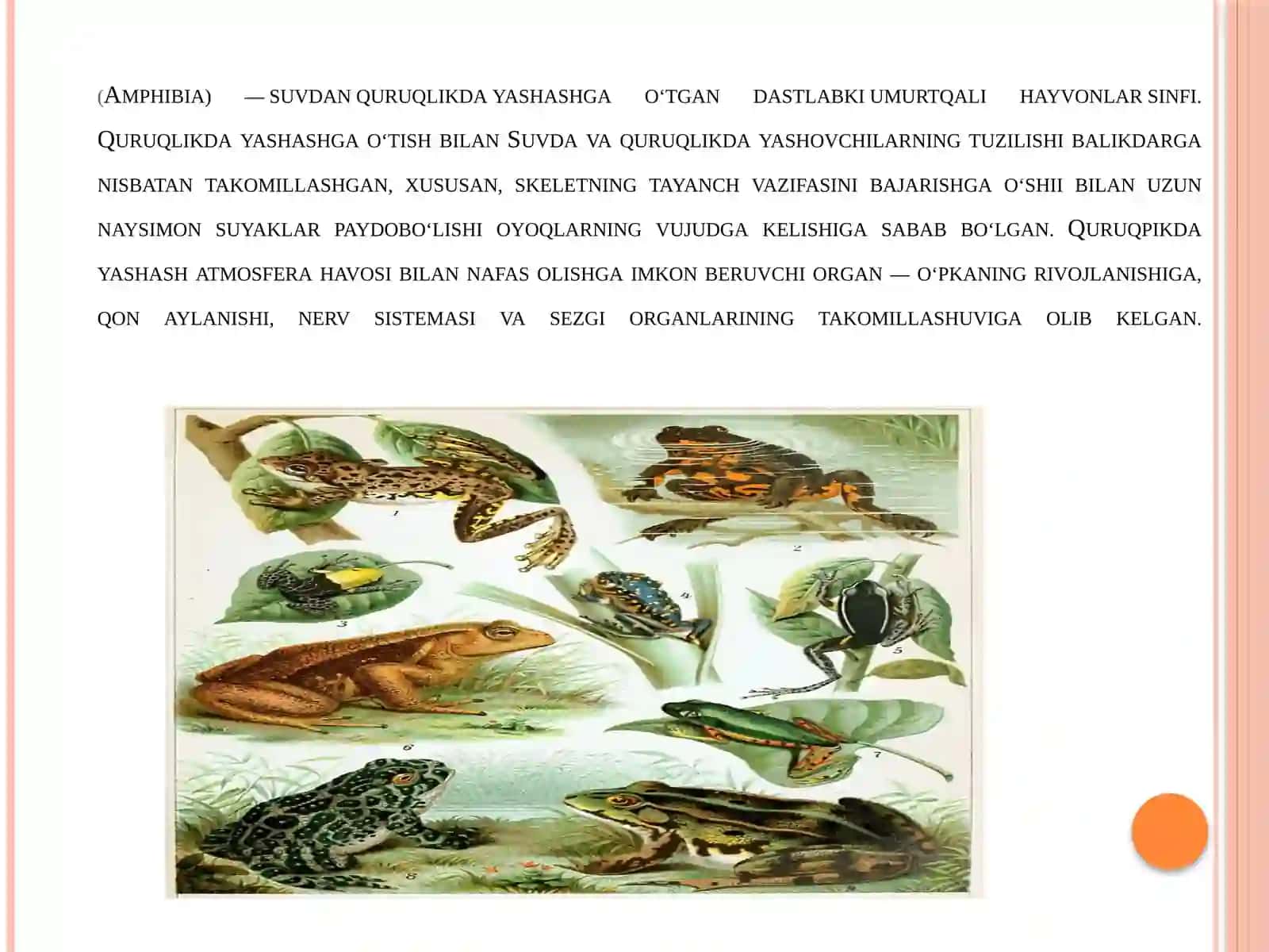 SUVDAHAM QURUQDA YASHOVCHILAR QURUQLIKKA CHIQISH SABABLARI VA MOSLANISH XUSUSIYATLARI 4
