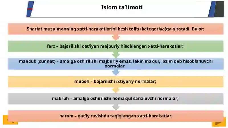 Islom fiqhiy maktablari 4