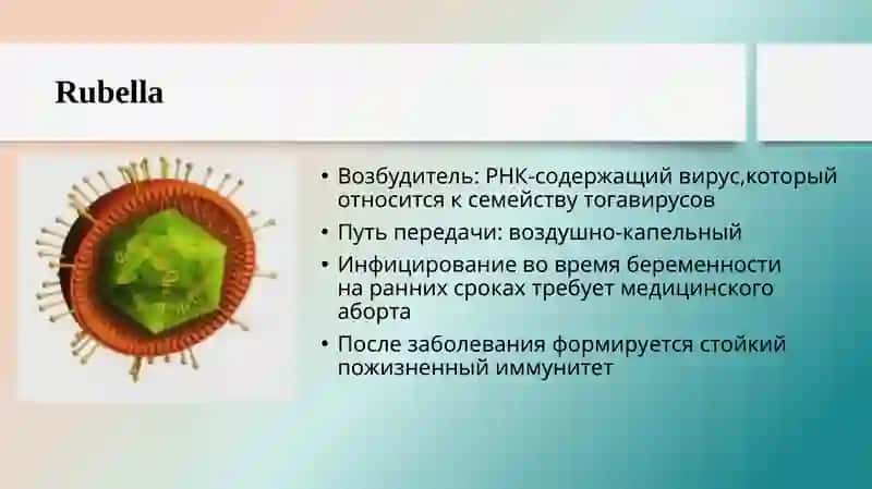 TORCH-ИНФЕКЦИИ: КЛИНИЧЕСКАЯ ДИАГНОСТИКА ИЭТИОЛОГИЧЕСКАЯ ВЕРИФИКАЦИЯ 4