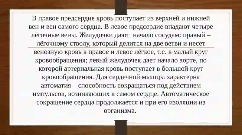 Система кровообращения 4