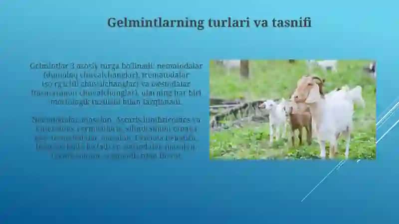 Gelmintozlar: Tushuncha, Turlari va Tarqalishi 4