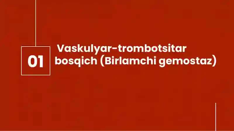 Qon quyishda normal koagulyatsiya 4