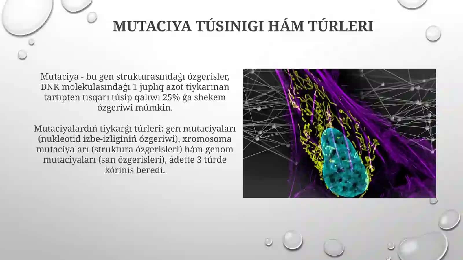 Tábiyǵıy hám qáste jaratılǵan mutaciyalar 4
