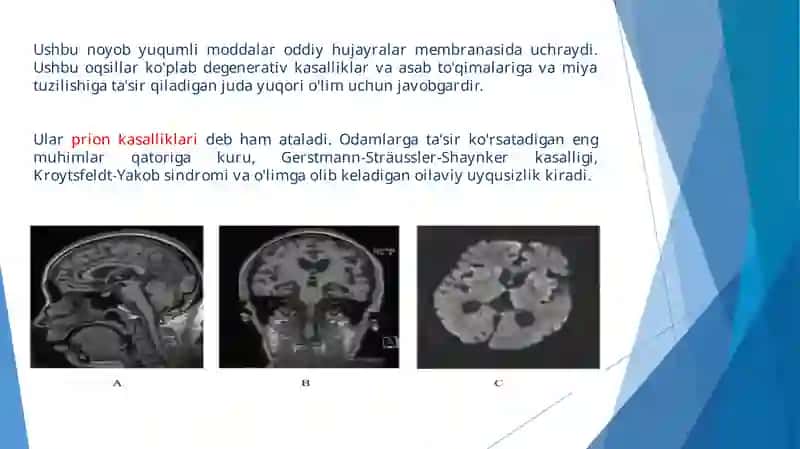 Prionlar to'g'risida hikmatli so'zlar 4
