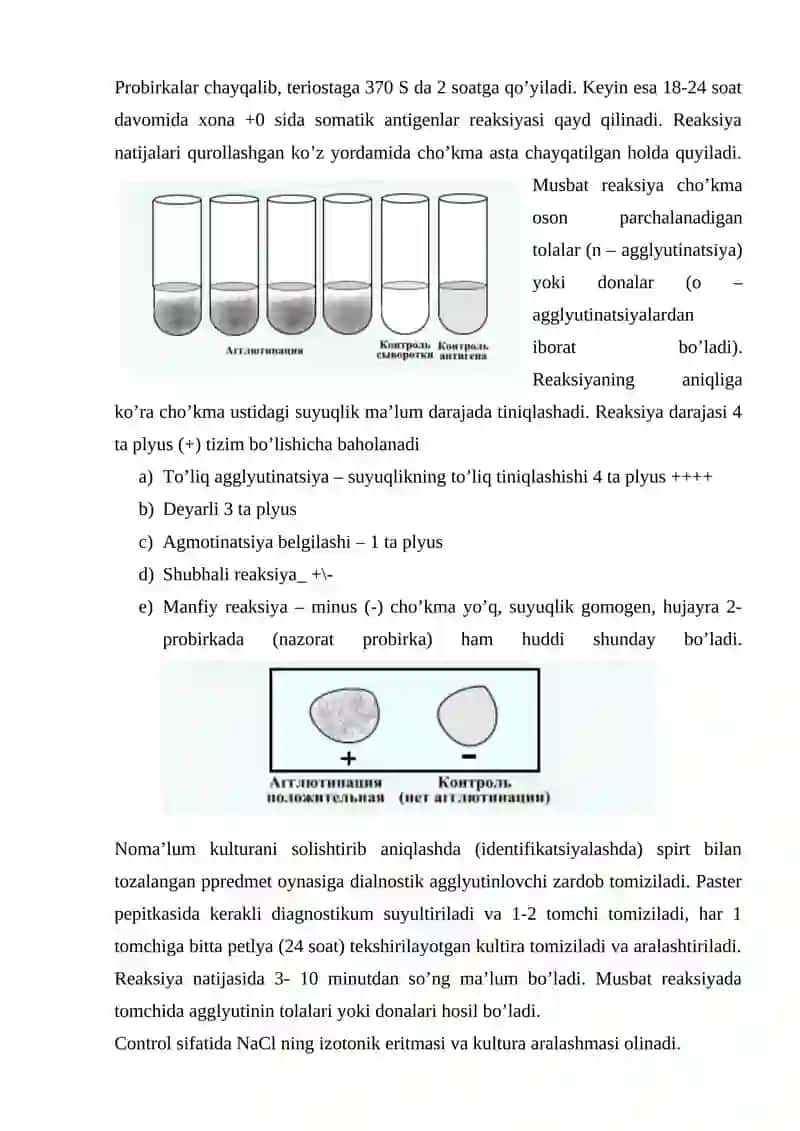Laboratoriya Mashg‘ulot Ishlanmasi 4