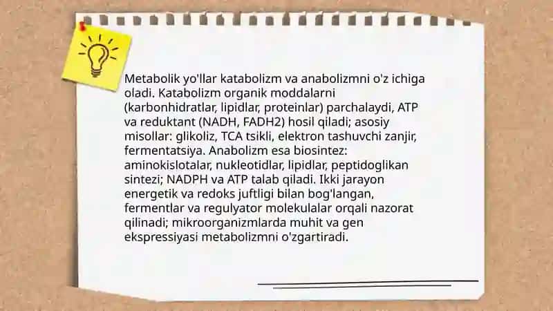 Mikroorganizimlar fizialogiyasi 4