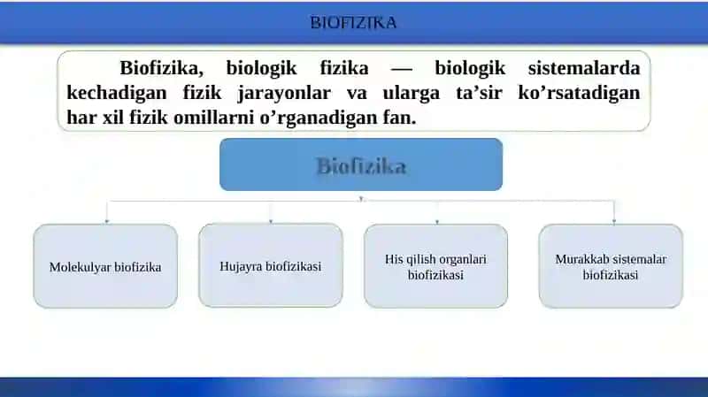 QATTIQ JISMLAR VA BIOLOGIK TO`QIMALARNING MEXANIK XOSSALARI 4
