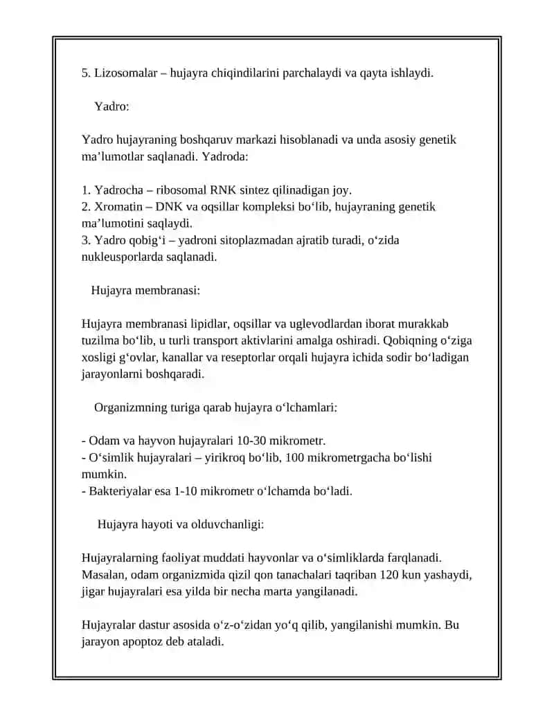 Hujayra va hujayralardan tashqari matriks orasidagi munosabatlar 4