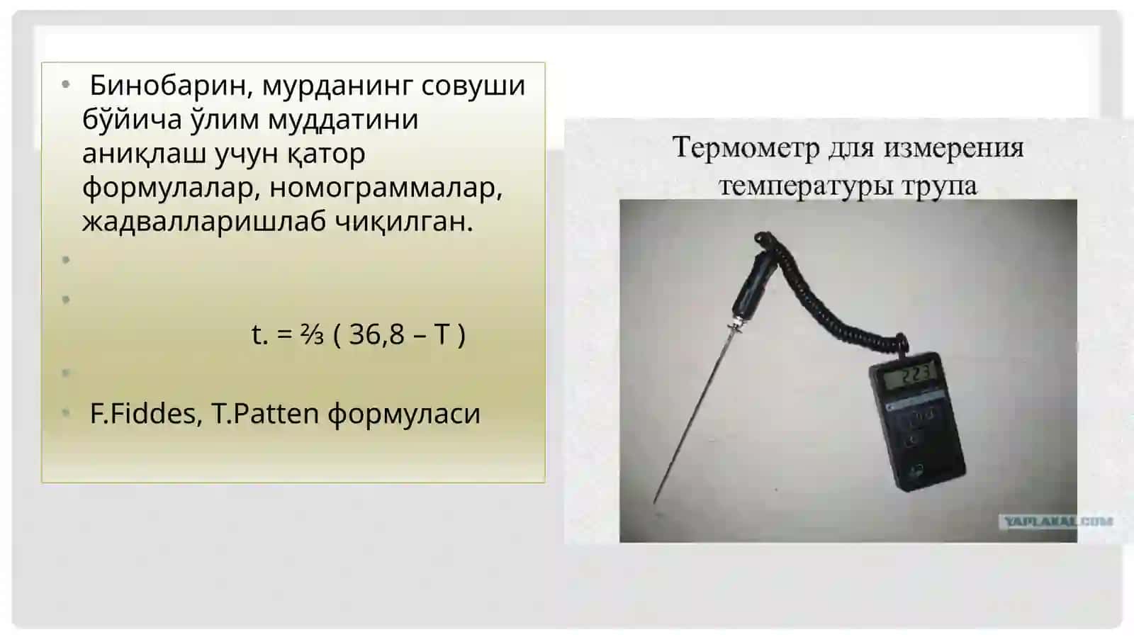 Murdao’zgarishlari asosida o’lim vaqtini aniqlash 4