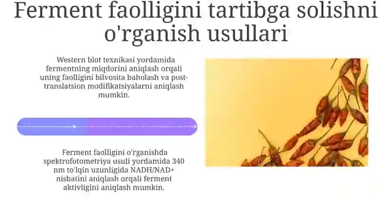 Ontogenezda fermentlar faolligini boshqarishni ahamiyati 4