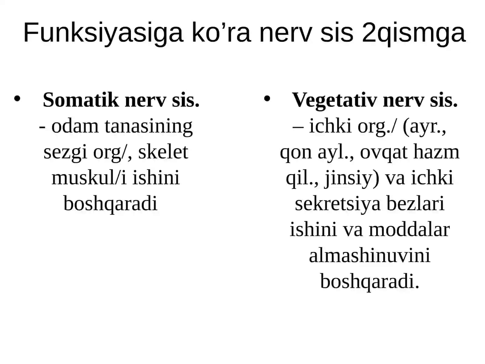Nerv sistemasi 4