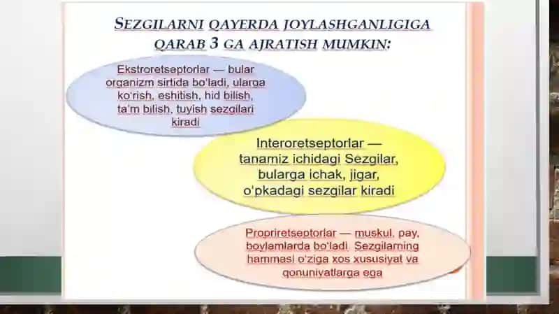 Sezgi va Idrok psixologik jarayon sifatida. 4