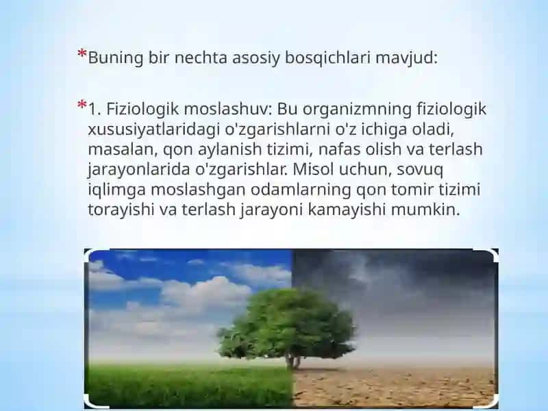 Manzarali o‘simliklarni iqlimlashtirish 4
