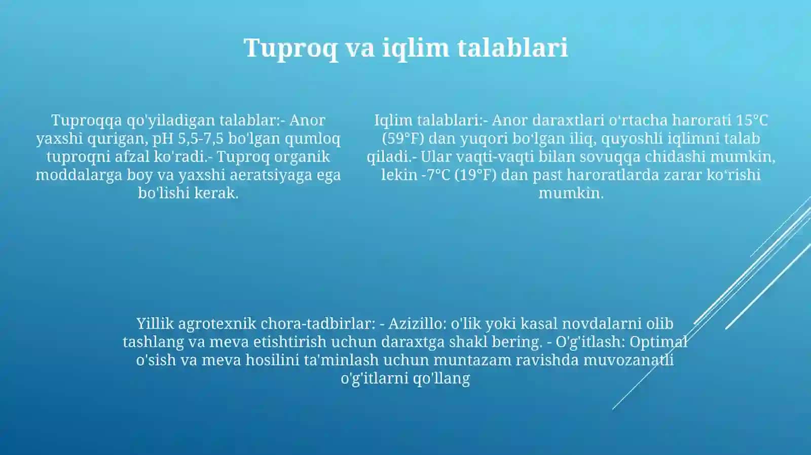 Anor OʻSimligini Yetishtirishning Yillik Agrotexnik TadbirlarniIshlabChiqish 4