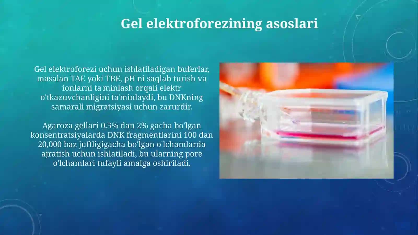 PZR va restriksiya maxsulotlarini gel-elektroforez usuli yordamida vizualizatsiya qilish 4
