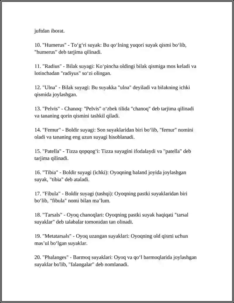 Skelet tizimi anatomik atamalarini tarjimasi 4
