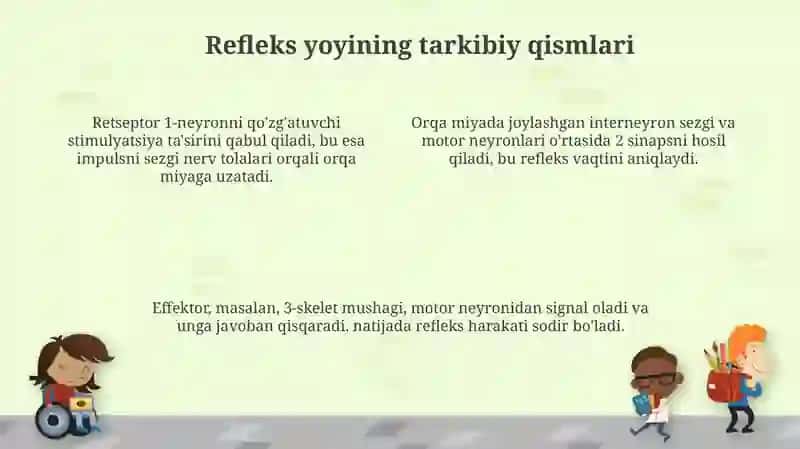 Oddiy refleks yoyi 4